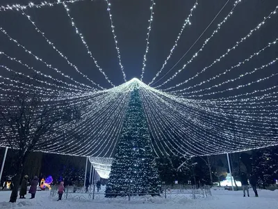 Ларец, аэростат и елка. Парк Мира в Бресте превратился в новогоднюю сказку  — Реальный Брест