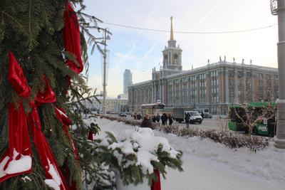 Фоторепортаж: «УР» выяснил, где находятся самые красивые новогодние елки  Екатеринбурга - «Уральский рабочий»