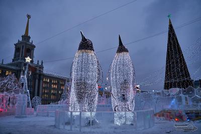 Зимние каникулы в Екатеринбурге | ТРЭВЭЛ УРАЛ