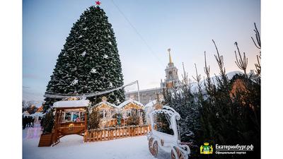 Екатеринбург возглавил рейтинг городов с дешевыми отелями в новогодние  праздники | Уральский меридиан