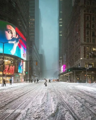 GISMETEO: Зимний шторм в США: погибли четыре человека, Нью-Йорк парализован  снегопадами - Природа | Новости погоды.