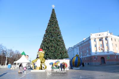 На празднование Нового года в Нижнем Новгороде потратят 463 млн рублей