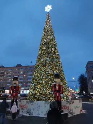 От \"Волшебного леса\" до праздничного экспресса: где встретить Новый год в Нижнем  Новгороде