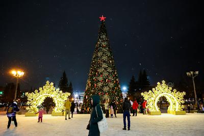 Новогодний Новосибирск Новосибирский …» — создано в Шедевруме