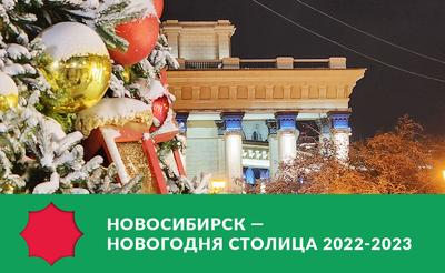 Новый год-2024: как отпразднуют в Новосибирске, где будет фейерверк - Новая  Сибирь online
