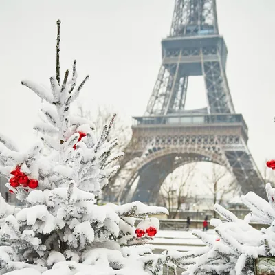 Чем заняться на Рождество в Париже • Come to Paris