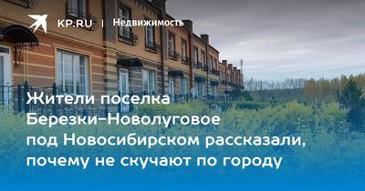 37 миллионов рублей направили на ремонт дороги до села Новолуговое в  Новосибирске | Новости – Gorsite.ru