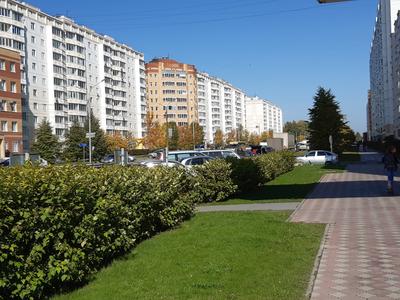 Файл:Новосибирск, улица Романова 35.jpg — Путеводитель Викигид Wikivoyage