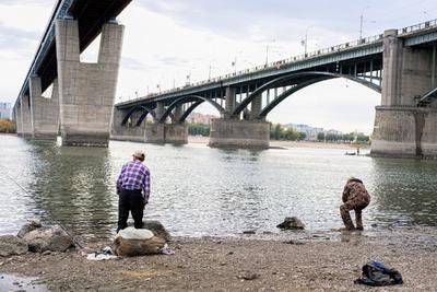 Падение уровня воды в новосибирских водоемах осложнило судоходство — РБК