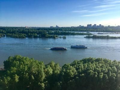 Новосибирск На Реке Обь — стоковые фотографии и другие картинки Новосибирск  - Новосибирск, Россия, Река - iStock