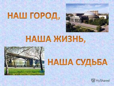 РБК Новосибирск