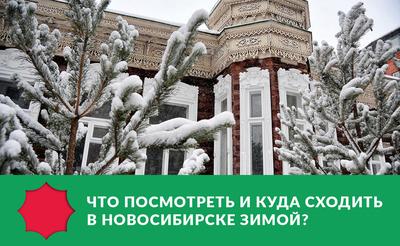 Новосибирск: город-сугроб, где мэр утратил связь с реальностью — Teletype