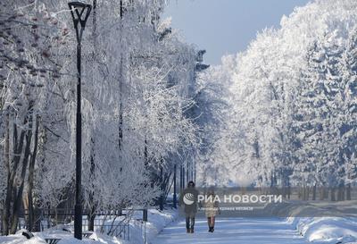 Зима в Новосибирске | РИА Новости Медиабанк