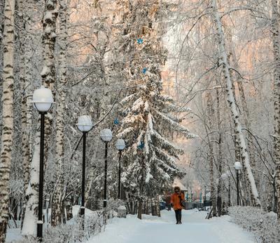 Топ-10 зимних развлечений в Новосибирске и пригороде – куда отправиться на  каникулах | VN.RU