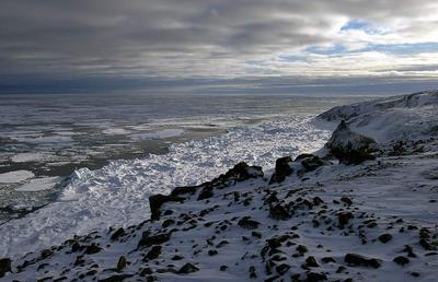 В Арктике завершили исследования на архипелаге Новосибирские острова -  Российская газета