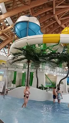 Новосибирский аквапарк не планирует возобновлять работу до весны