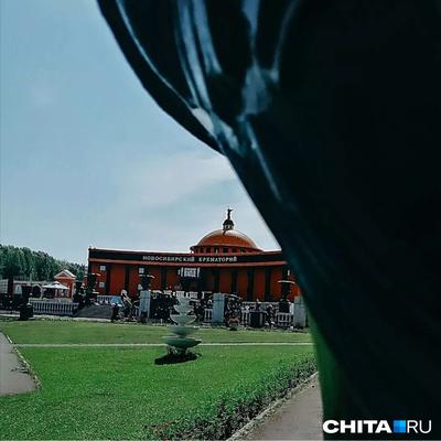 Новосибирский Крематорий: последние новости на сегодня, самые свежие  сведения | Chita.ru - новости Читы