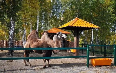 Приставы арестовали часть стены в колумбарии Новосибирского крематория -  Новости Новосибирска - om1.ru