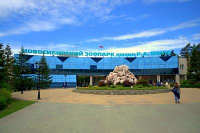 Новосибирский зоопарк имени Р.А. Шило