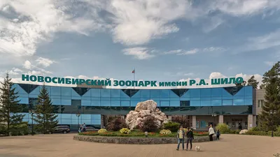 Новосибирский зоопарк поделят на \"континенты\" - Российская газета