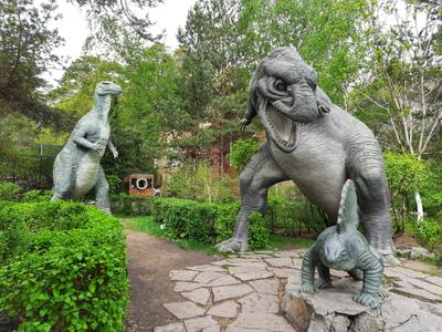 Новосибирский зоопарк имени Р. А. Шило празднует свой 76-й день рождения |  Atas.info | Дзен