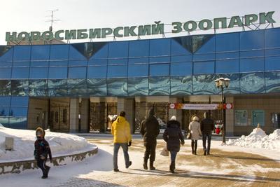 Экскурсия «Новосибирский зоопарк - Большой новосибирский планетарий»