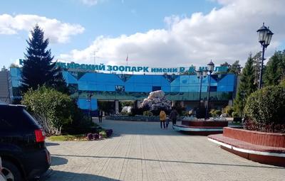Ну здравствуй, Новосибирский зоопарк! | Пикабу