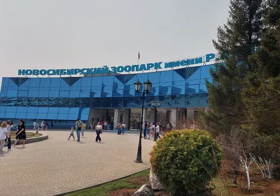 Новосибирский зоопарк, Новосибирск - «Зоопарк без сомнения гордость нашего  города.» | отзывы