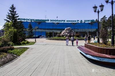 Новосибирский зоопарк (Новосибирск) - ТурПравда