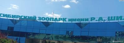 Новосибирский Зоопарк и Дельфинарий
