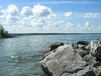 В новосибирское водохранилище выпустят выводок ценного вида осетра — РБК