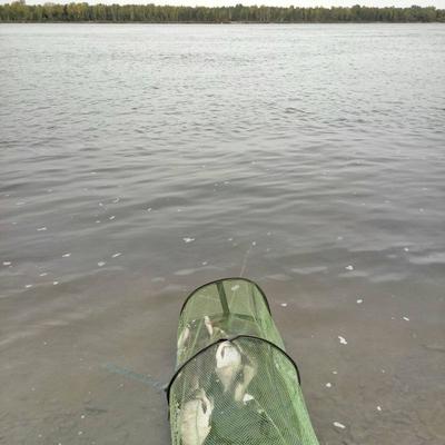 Новосибирское водохранилище.Осень | Пикабу