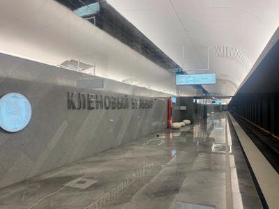 На серой ветке метро Москвы остановили движение из-за человека на путях —  РБК