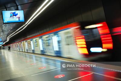 Бирюлёвская линия метро — Комплекс градостроительной политики и  строительства города Москвы