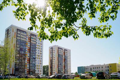 Инвестиции в недвижимость в Новосибирске: куда вложить деньги в 2024 году