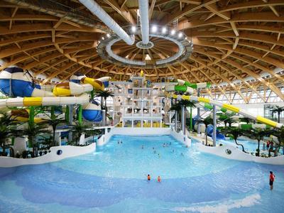 В Новосибирске открылся крупнейший в России крытый аквапарк - РИА Новости,  14.10.2016