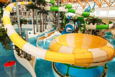 Новосибирский аквапарк выставят на продажу после повторной оценки | Новости  – Gorsite.ru
