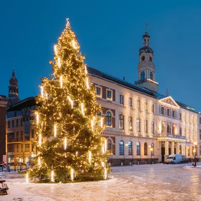 Тур Новый Год в Берлине (отель 3*), 5, 7, 8 дня из Санкт-Петербурга в Берлин