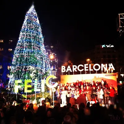 Как встречают Новый Год в Испании? | Пикабу