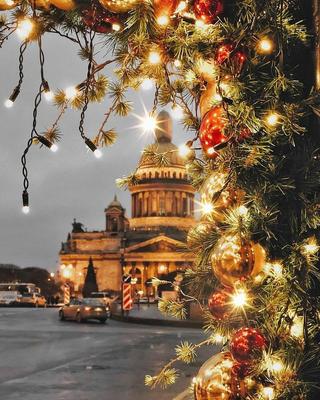 Санкт Петербург в Новый год: куда сходить. Топ-10 сказочных мест зимнего  Петербурга - туристический блог об отдыхе в Беларуси