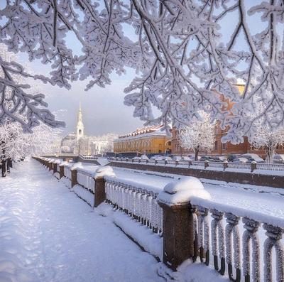Путешествие в Санкт-Петербург на Новый Год - что посмотреть в Питере на  новогодние праздники