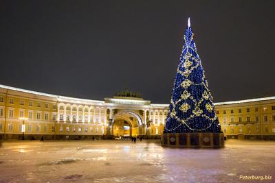 Новогодний тур 2024 в Петербург из Минска🎅❄️ ДатаТур