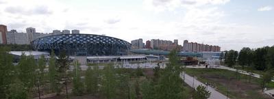 Проверка новосибирской Ледовой арены обнаружила «нечто, похожее на хищение»  | Новости – Gorsite.ru