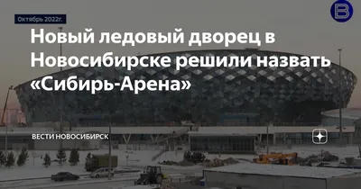 Новый ЛДС в Новосибирске переименуют в «Сибирь-Арена»: как выглядит ледовый  дворец изнутри | НДН.Инфо