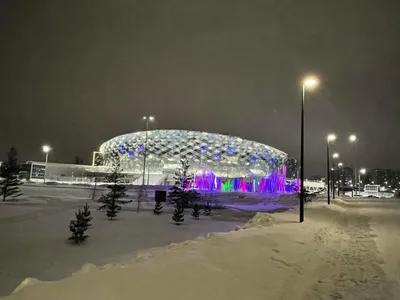 В Новосибирске пройдет форум по развитию хоккея: Достижения: Моя страна:  Lenta.ru