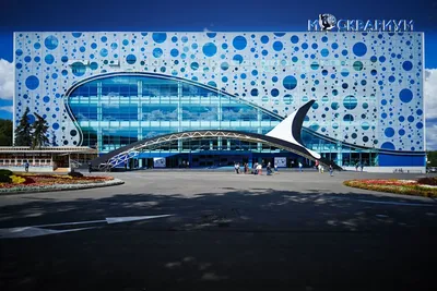 Новый океанариум в Москве фото