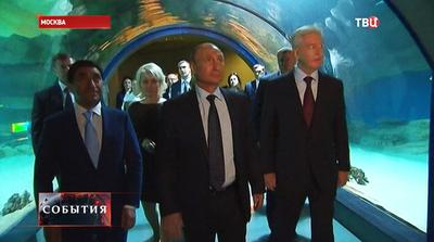 Путин 4 августа посетит уникальный океанариум на ВДНХ // Новости НТВ