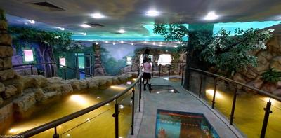 Крокус Сити Океанариум открыл свои двери для посетителей - Знаменательное  событие