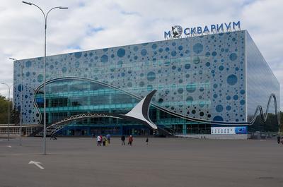 Самые большие океанариумы в Москве. — Teletype