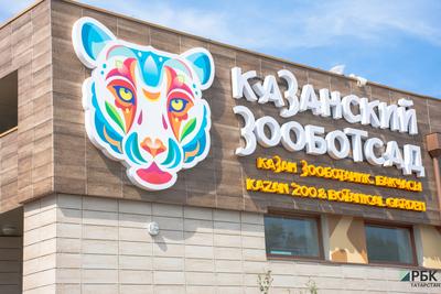 Зоопарк в Казани: цены, режим работы в 2019 г